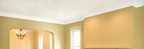 Zinsser 260967-2PK Ceiling Paint and Primer in One, Gallon, White, 2 Pack