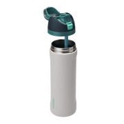 Owala FreeSip Stainless Steel Water Bottle, 24oz, Gray Whale
