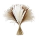 thumbnail image 3 of Ramo de mezcla de hierba, paquete de decoración de hierba seca, flor seca decorativa de caña para fiesta, mesa, oficina, boda, decoración Boho Estilo C perfecl Hierba de pampa seca, 3 of 8