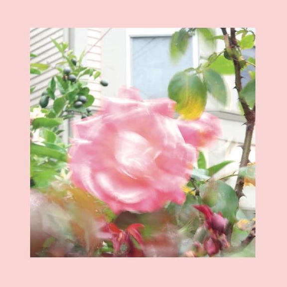 Pinks and Purples Reds - Summer At Land's End - Music & Performance - CD