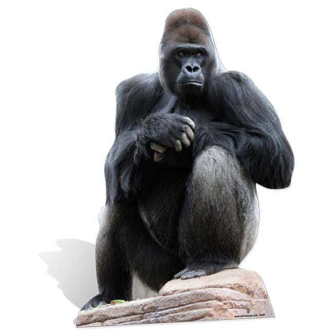 Star Cutouts Sc67 Gorilla Cardboard Cutout 49 X 1 In