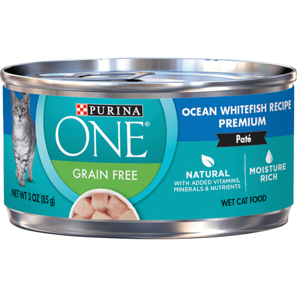 Purina ONE Natural, High Protein, Grain Free Pate Wet Cat ...