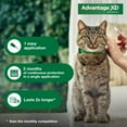 Advantage XD Large Cat 2Month Flea Prevention For Cats over 9lbs, 1