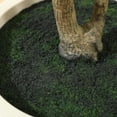 thumbnail image 6 of DR.Planzen 7 Ft Artificial Muti-Trunk Olive Tree in Natural White Planter, 6 of 7