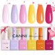 thumbnail image 1 of Set de esmaltes de uñas en gel CANNI, 6 colores, 9 ml, sin hemas, LED, 1 of 9