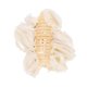 thumbnail image 3 of Ofertas Únicas 1 Pc Clip para el Cabello Patrón de Lazo Clip de Garra 5.12"x1.57"x2.36" Beige, 3 of 5