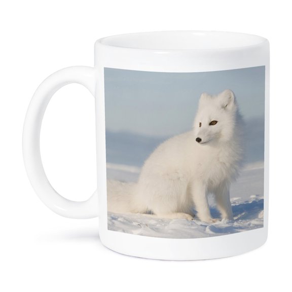 3dRose, Alaska, 1002 Coastal Plain, ANWR, arctic fox - US02 SKA4921 - Steve Kazlowski, 11oz Mug