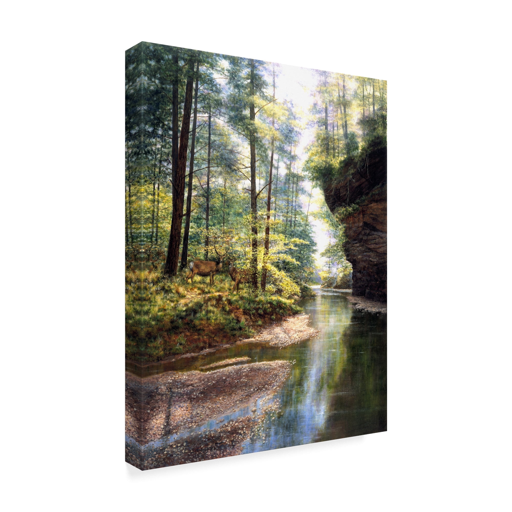 Trademark Fine Art 'Quiet Forest' Canvas Art by Bill Makinson