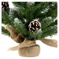 Norway Pine Christmas Tree in Burlap Base, 24", Brown