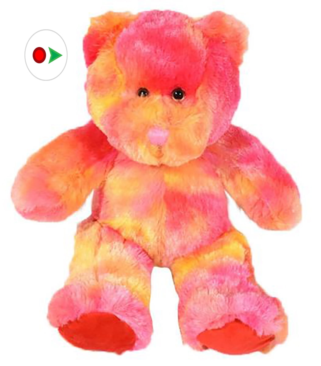 teddy bear record your own message