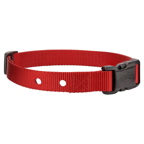 Country Brook Petz® 1 Inch Adjustable Nylon Replacement Collar for Dog Fence Receivers (Red)
