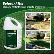 ENDURANT FW Concentrated Turf and Grass Colorant – 1 Gallon Jug