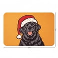 thumbnail image 4 of Christmas Dog Doormat, Orange Cute Puppy with Santa Hat, 24x16 Inch Non-Slip Absorbent Velvet Rug for Front Door, Indoor Entrance, Holiday Decor & Pet Lovers Gift, 4 of 5