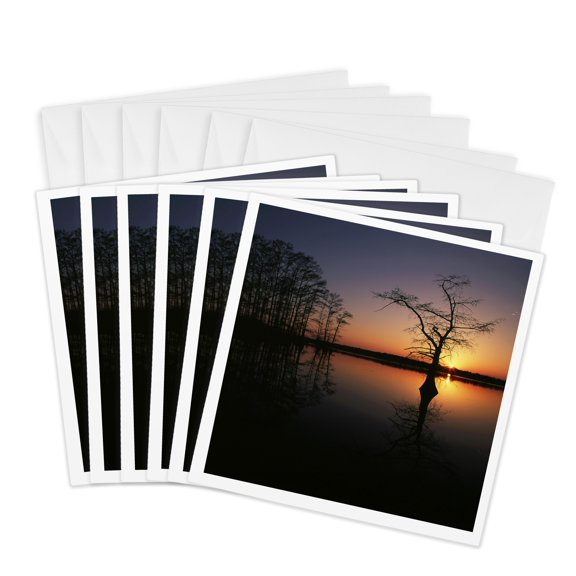 3drose, Bald Cypress, Reelfoot Lake, Tennessee, Usa - Us43 Aje0289 - Adam Jones, 6 Greeting Cards with Envelopes
