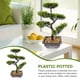 thumbnail image 3 of WORGEOUS Artificial Bonsai Pine Tree Faux Faux en maceta Display de escritorio de la planta, 3 of 7