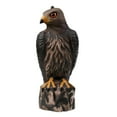 thumbnail image 2 of koolsoo Realistic Eagle Fishing Decoy Pest Control Bird Pigeon Scarer Scare Brown, 2 of 8