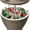 Coffee, variant on SONGMY Outdoor Cool Bar Table, Rattan Style Patio 8 Gallon Beer and Wine Cooler, All-Weather Ice Bucket w/Height Adjustable Top, Drainage Plug-Grey