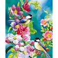 thumbnail image 2 of Cuadros Decorativos 5D bricolaje completo taladro cuadrado diamante pintura 2 pájaros punto de cruz bordado Ndcxsfigh Nuevos Originales, 2 of 7