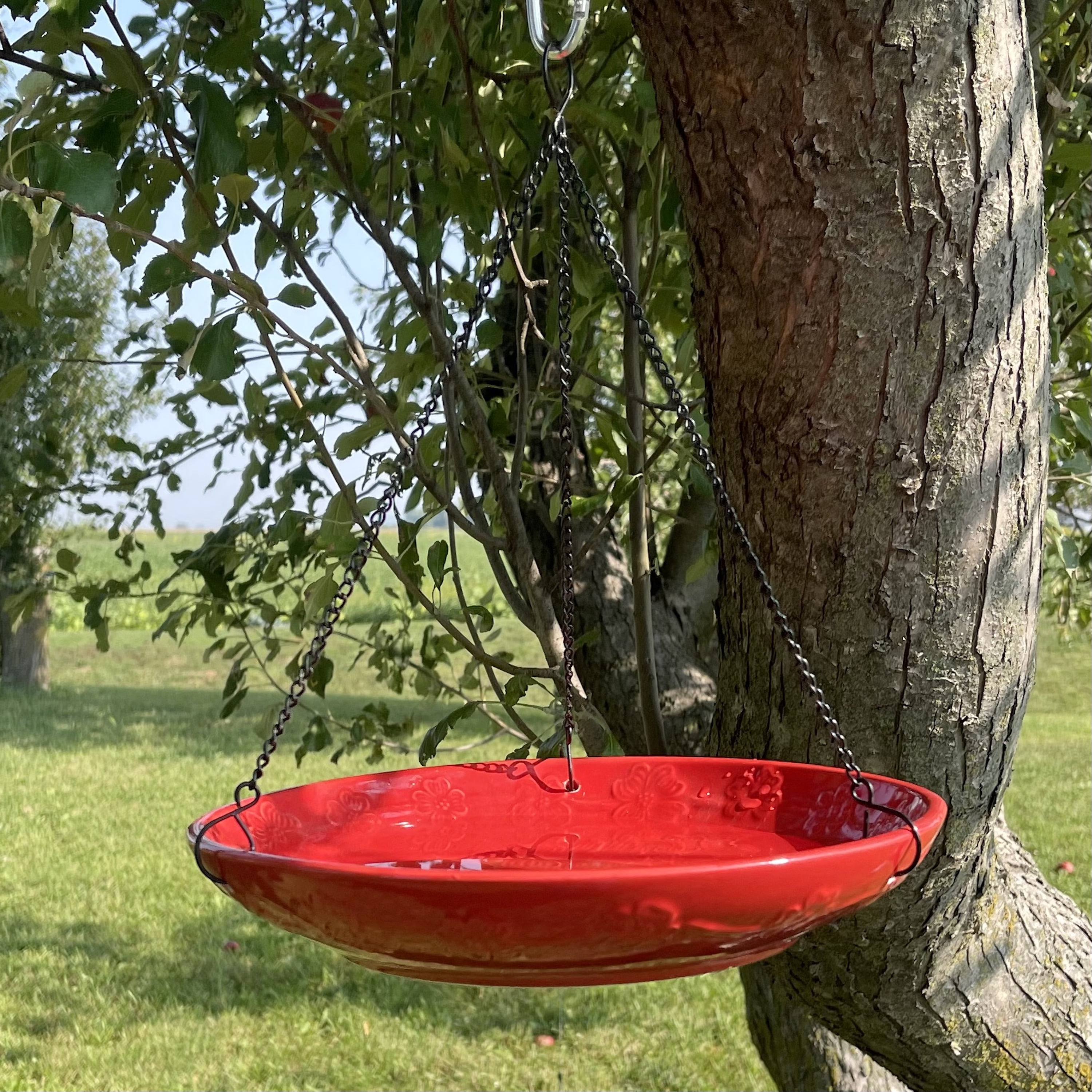 Backyard Essentials Bird Bath Hanging Birdbath Cardinal Red for Bird Feeders