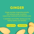 thumbnail image 3 of Champú en barra MARS MADE Ginger 2.0 hidratante 120 g, 3 of 7