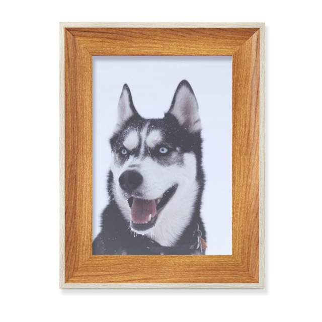 Big Dog Snow Husky Picture Desktop Wooden Photo Frame Display Picture Art Painting Multiple Sets