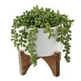 thumbnail image 3 of Flora Bunda CS2956E-MTWH 5'  String of Pearl in Hobnail Ceramic Planter on  Stand, 3 of 4