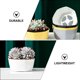 thumbnail image 5 of 2 mini macetas con diseño de pétalos para plantas suculentas, macetas decorativas para el hogar., 5 of 7
