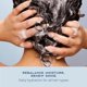 thumbnail image 5 of SHEA MOISTURE Daily Hydration Shampoo, Blanco, Coco, 384 Mililitro, 5 of 13