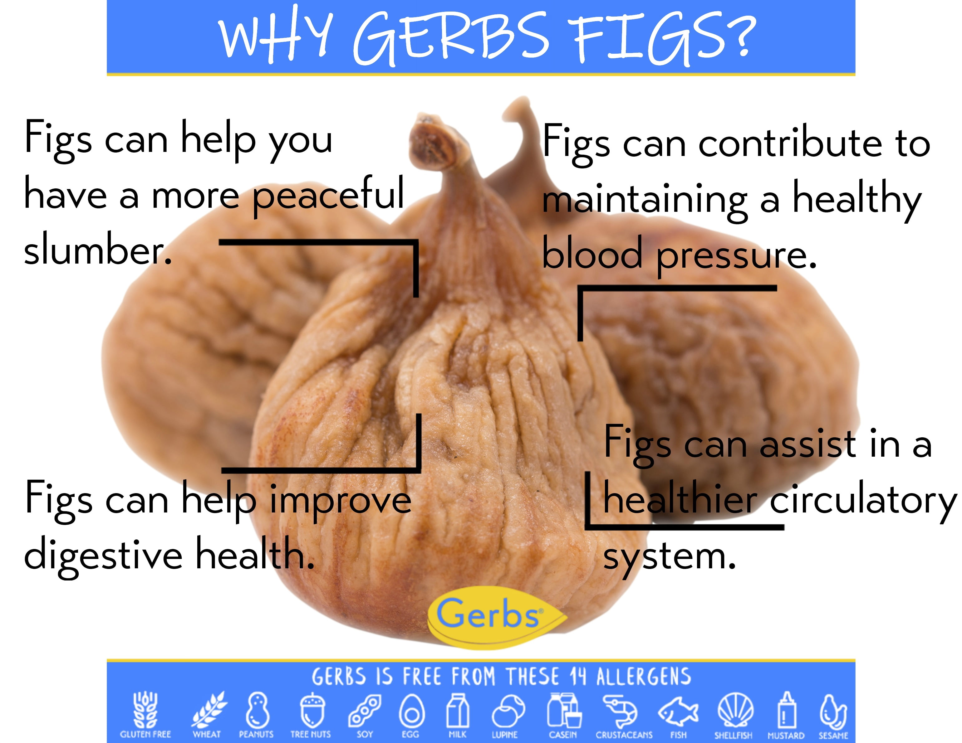 GERBS Dried Whole Figs 2 LBS. | Freshly Dehydrated Resealable Bulk Bag | Top Food Allergy Free | Sulfur Dioxide Free | Strengthen bones, packed vitamin C boost immune system | Gluten & Peanut Free
