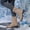 Khaki, variant on Gamivast Boots for Women Faux Leather Mid Calf Boots Lace Up Side Zip Buckle Strap Block Heel Winter Boots for Outdoor Travel Walking Footwear Beige 39