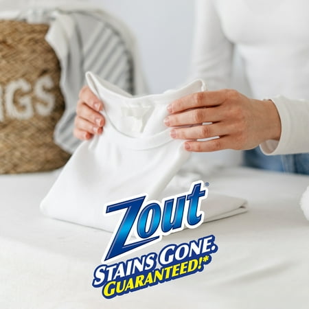 Zout Laundry Stain Remover, Foam Action, Triple Enzyme, 22 oz.