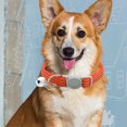 thumbnail image 4 of Visland Collier pour Animaux de Compagnie Respirant Réfléchissant Léger Bien Conçu Chien Laisse Échappée avec Cloche pour la Formation, 4 of 8