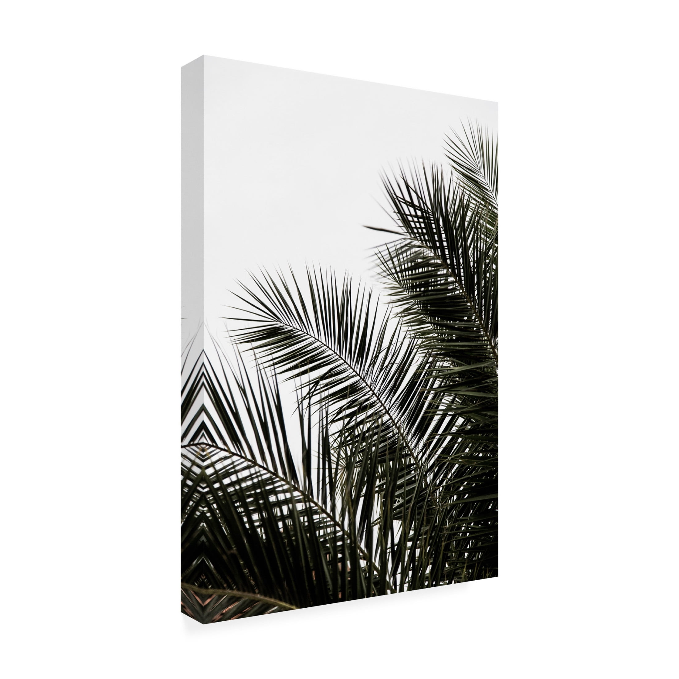 Trademark Fine Art Mareike Bohmer Palm Leaves 3 Canvas Wall Art
