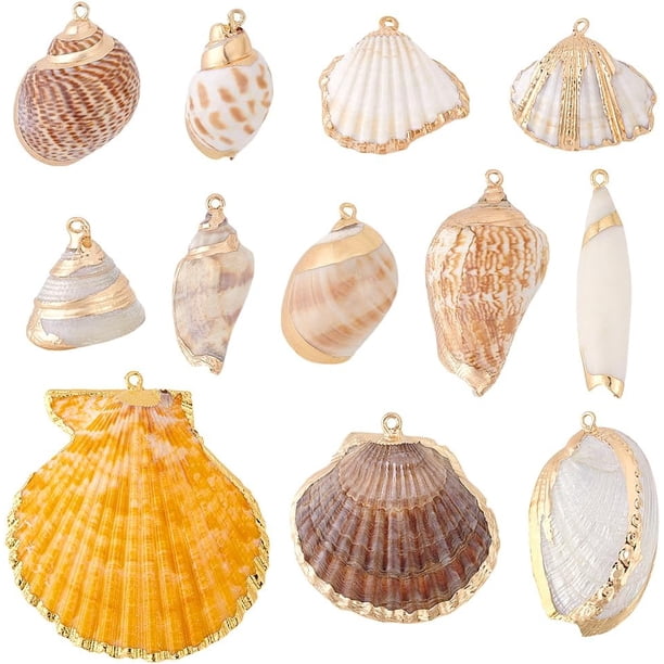 12 estilos de dijes de concha natural de 0,8 a 2,2 pulgadas, colgantes de concha galvanizada, conchas marinas, conchas espirales de vieira, conchas marinas de verano con agujero