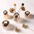 thumbnail image 3 of pitrice Glass Planter Vase Flower Plant Pot Terrarium Container 9x9cm Mouth 3cm, 3 of 9