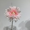 thumbnail image 3 of Pink Gerbera Daisy, 3 of 3