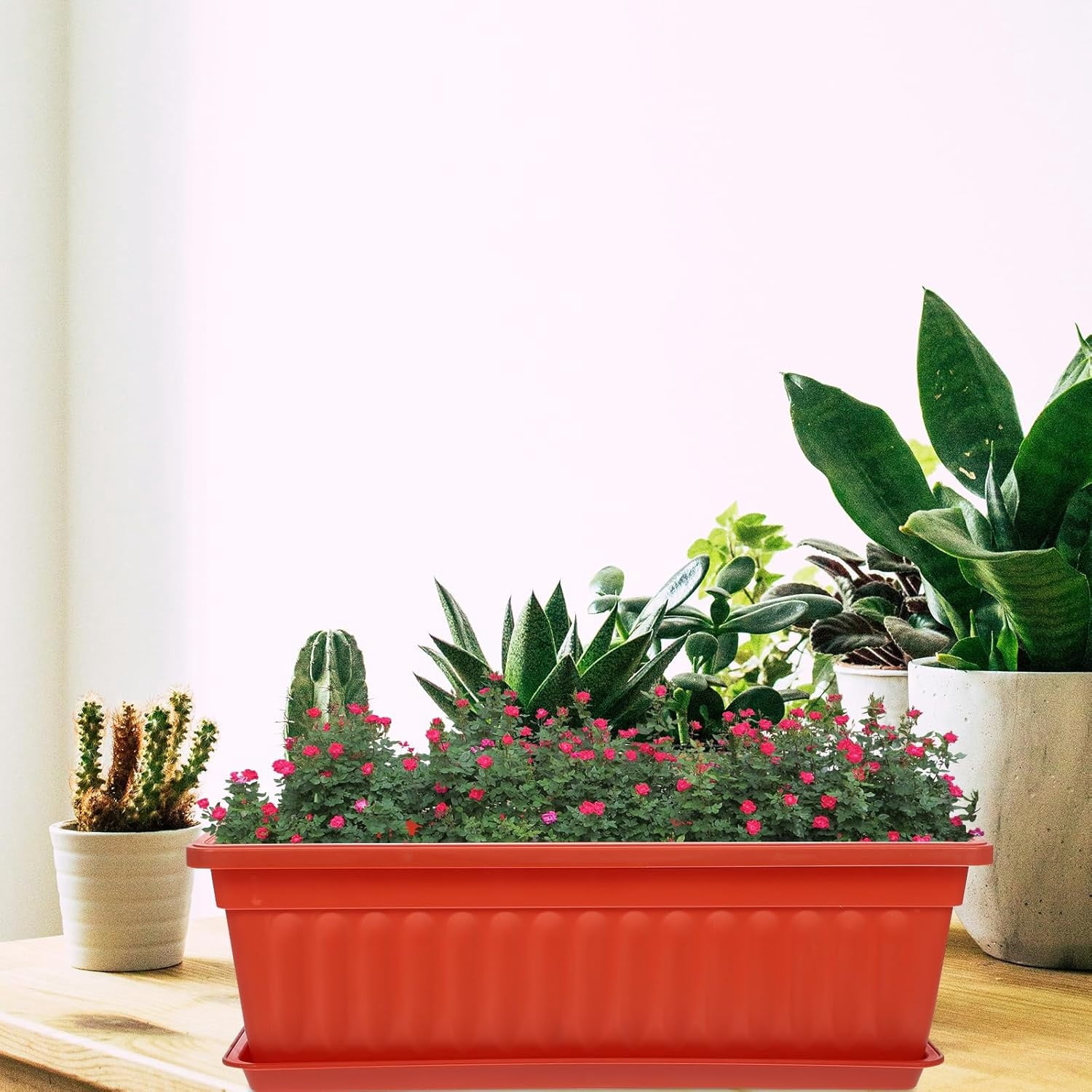 Window Box Planter,Long Window Sill Planter Box Outdoor, Plastic Rectangular Window Flower Herb Pots Indoor with Drainage Holes and Trays for Garden,Windowsill,16.9x7.5x5.5"