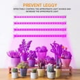 thumbnail image 3 of LED Grow Light Strips, Full Spectrum Plant Grow Light for Indoor Plants with Auto ON/Off Timer, 5 Dimmable Levels USB Powered LED Grow Lamp for Seedling Hydroponics Succulent, 3 of 7