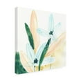 thumbnail image 2 of Trademark Fine Art 'Garden Essence IX' Canvas Art by June Erica Vess, 2 of 3