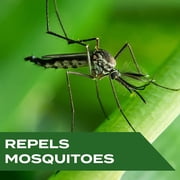 STEM Repels Mosquitoes, Insect Repellent Spray with Essential Oil, 2 Fl Oz (Pack Of 6)