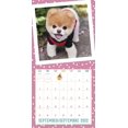 thumbnail image 5 of Mead 2022 Boo Wall Calendar, 12 x 12 Inches, Bilingual, 16-Months (DDF0622822), Multi, 5 of 5