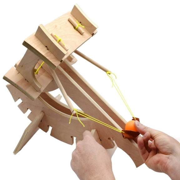 Ballista Catapult Kit - Build Your Own - Explore Torsion Springs, Force, Energy Transformation, Mechanical Advantage, and Projectile Motion - No Tools Required - Garage Physics by Eisco