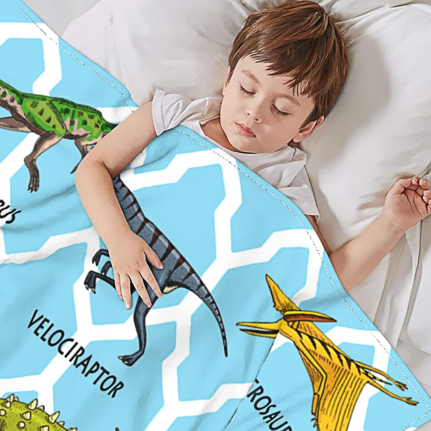 Dinosaur Blanket for Boys Girls Kids Toddler Flannel Throw Blanket Baby Dinosaurs Gifts for Children Sofa Bedroom Living Room 60"x50"