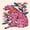 Pink Leopard, variant on 31"x8" Colorful Pink Complete Skateboards for Beginners, Double Kick 7 Ply Maple Deck Tropical leaves lotus flowers Skateboard with Wheels, Gifts for Kids Teens