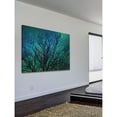 thumbnail image 5 of Marmont HIll 'Magical Night' by Sylvia Cook Painting Print on Wrapped Canvas, 5 of 5