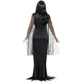 thumbnail image 2 of Women's Frightful Immortal Soul Witch Dress Costume Large 14-16, 2 of 2