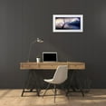 thumbnail image 3 of LightBoxJournal 24x14 White Modern Wood Framed Museum Art Print Titled - Cottonwood Tree Part 11, 3 of 4
