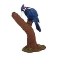 thumbnail image 3 of Figura de pájaro modelo Acento Juguete cognitivo Colección Adorno de escritorio Mesa de paisaje Pájaro carpintero, 3 of 9