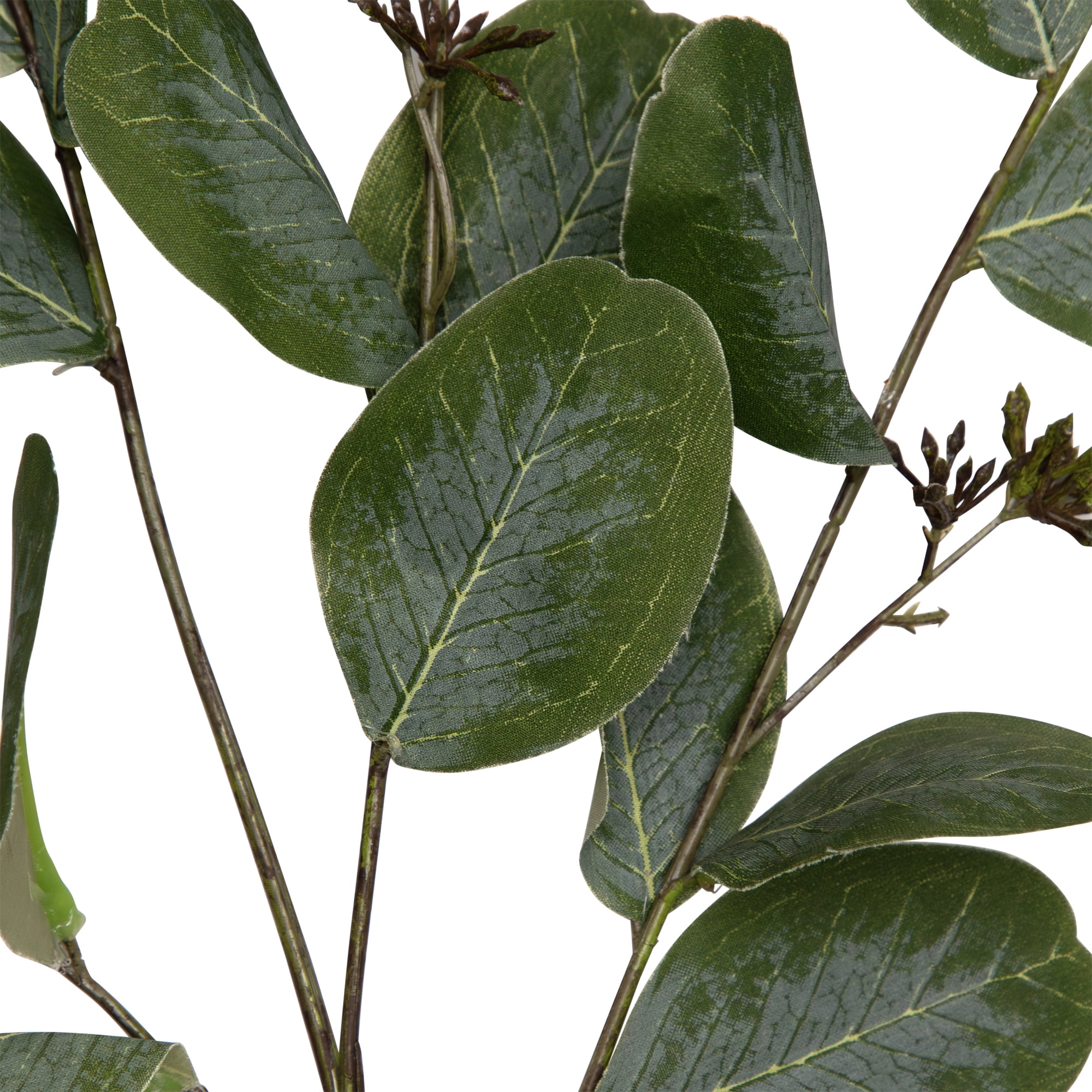 Northlight Seeded Eucalyptus Leaves Artificial Sprays - 33" - Green - Set of 6