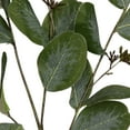 thumbnail image 4 of Northlight Seeded Eucalyptus Leaves Artificial Sprays - 33" - Green - Set of 6, 4 of 6